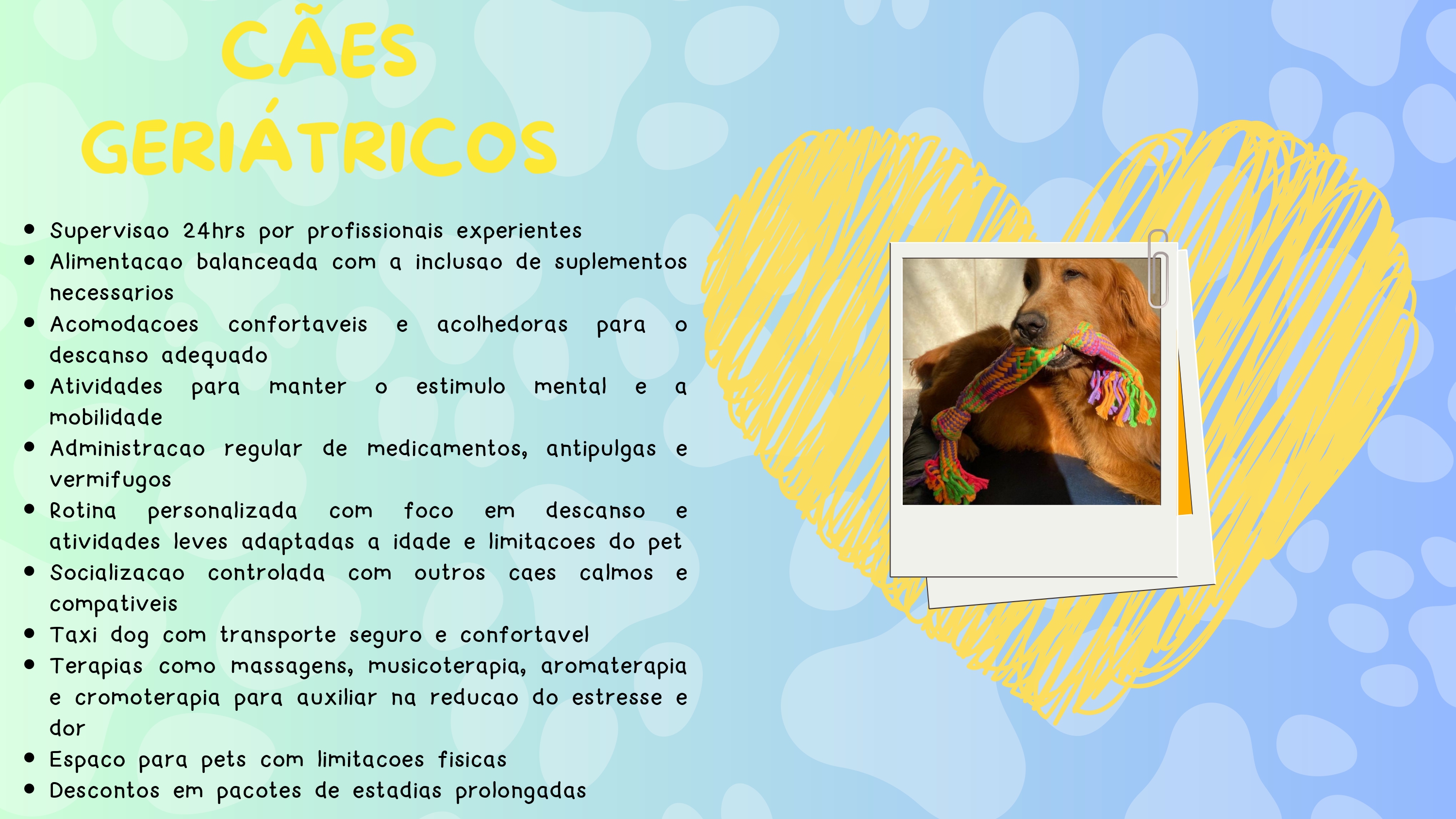 Estrutura Patas em Ferias 5