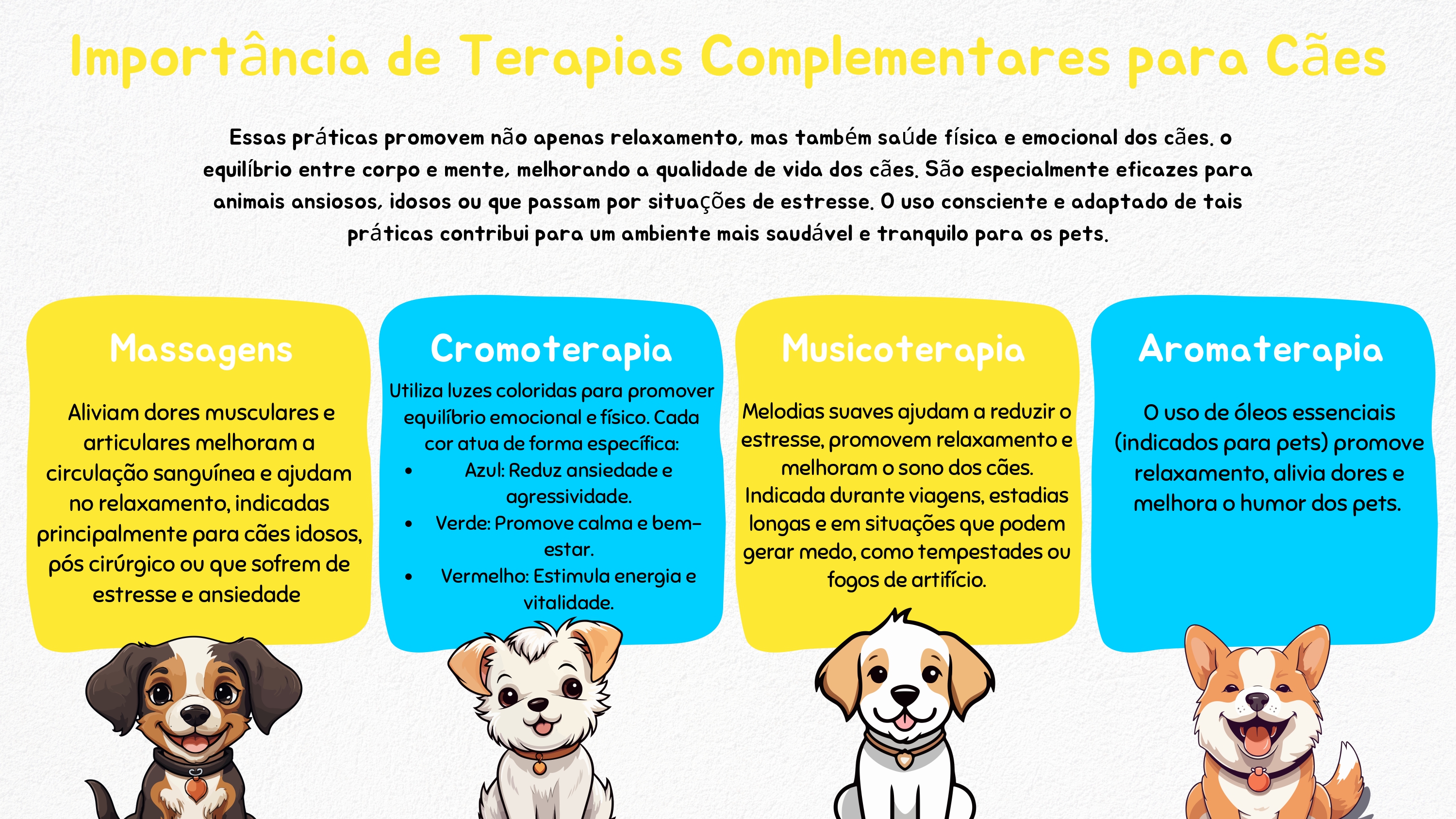 Estrutura Patas em Ferias 6