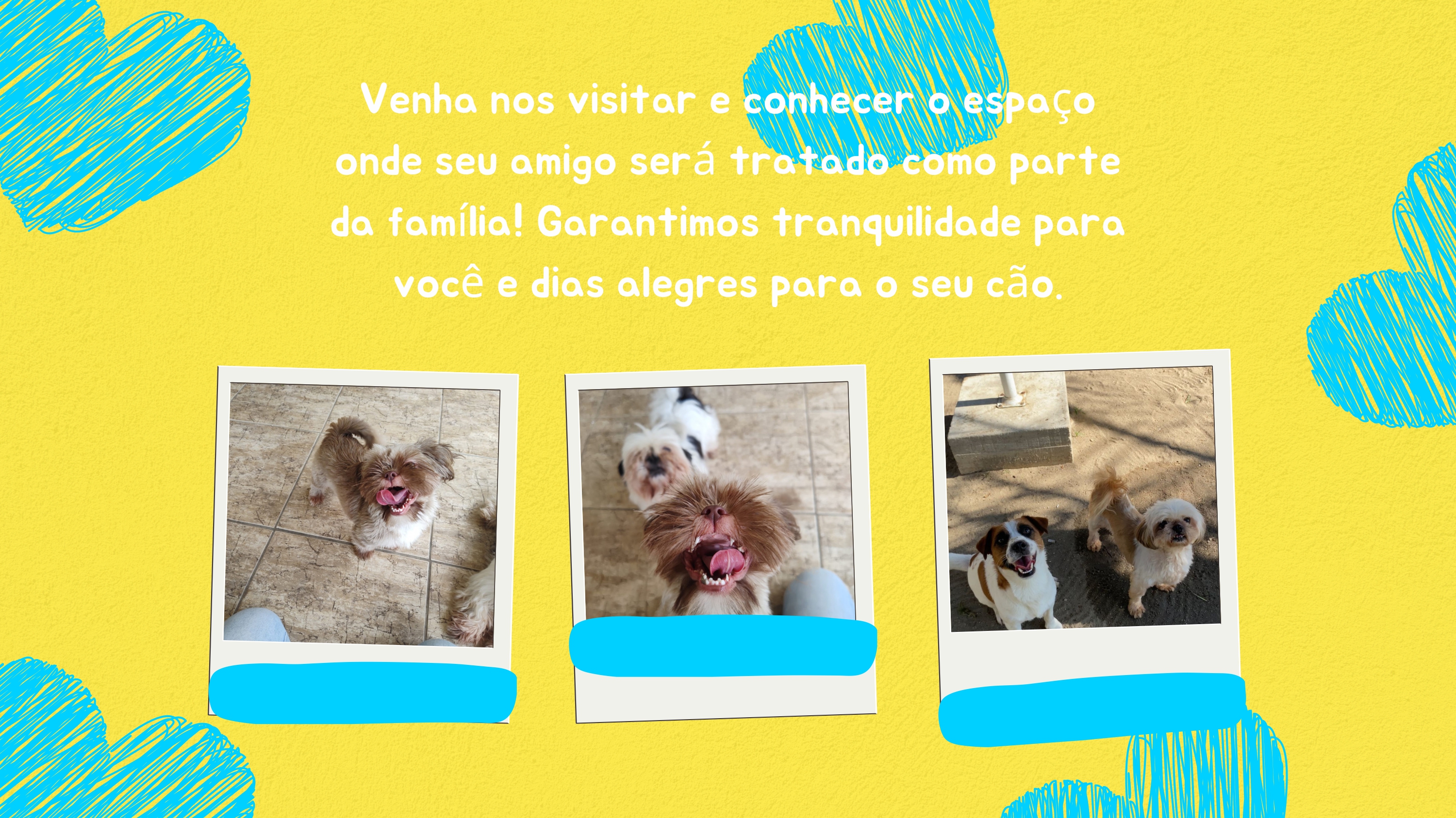 Estrutura Patas em Ferias 8