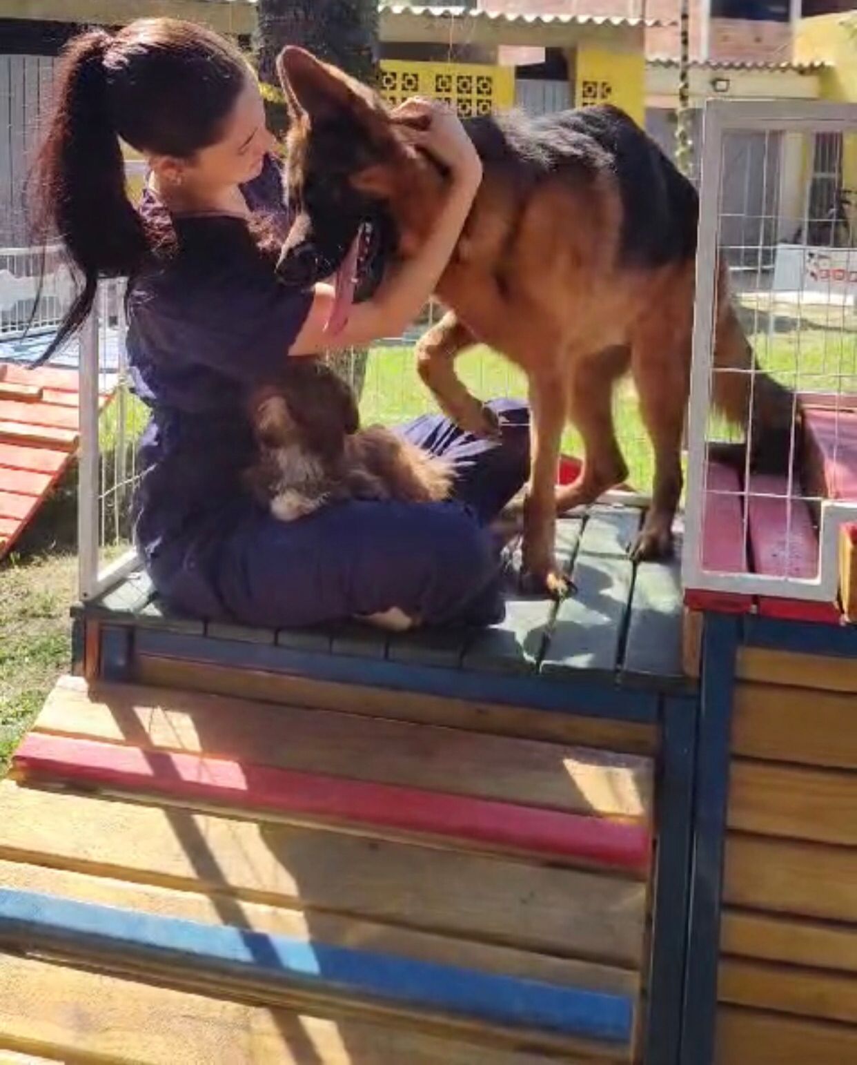 Foto do Patas em Férias Pet Resort