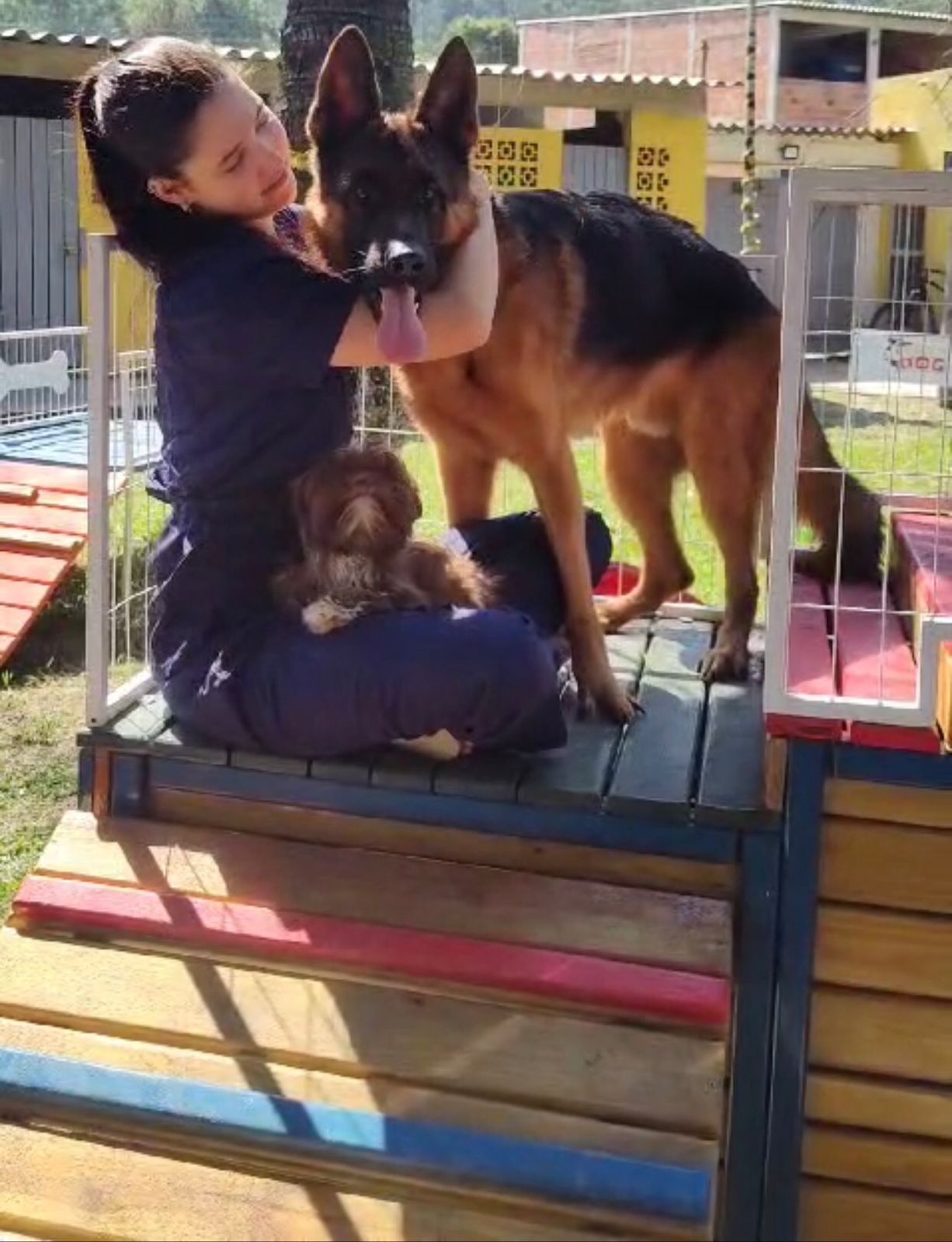 Foto do Patas em Férias Pet Resort