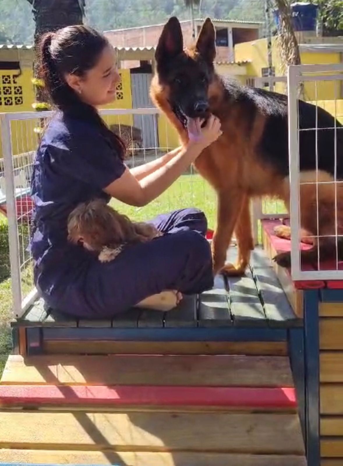 Foto do Patas em Férias Pet Resort