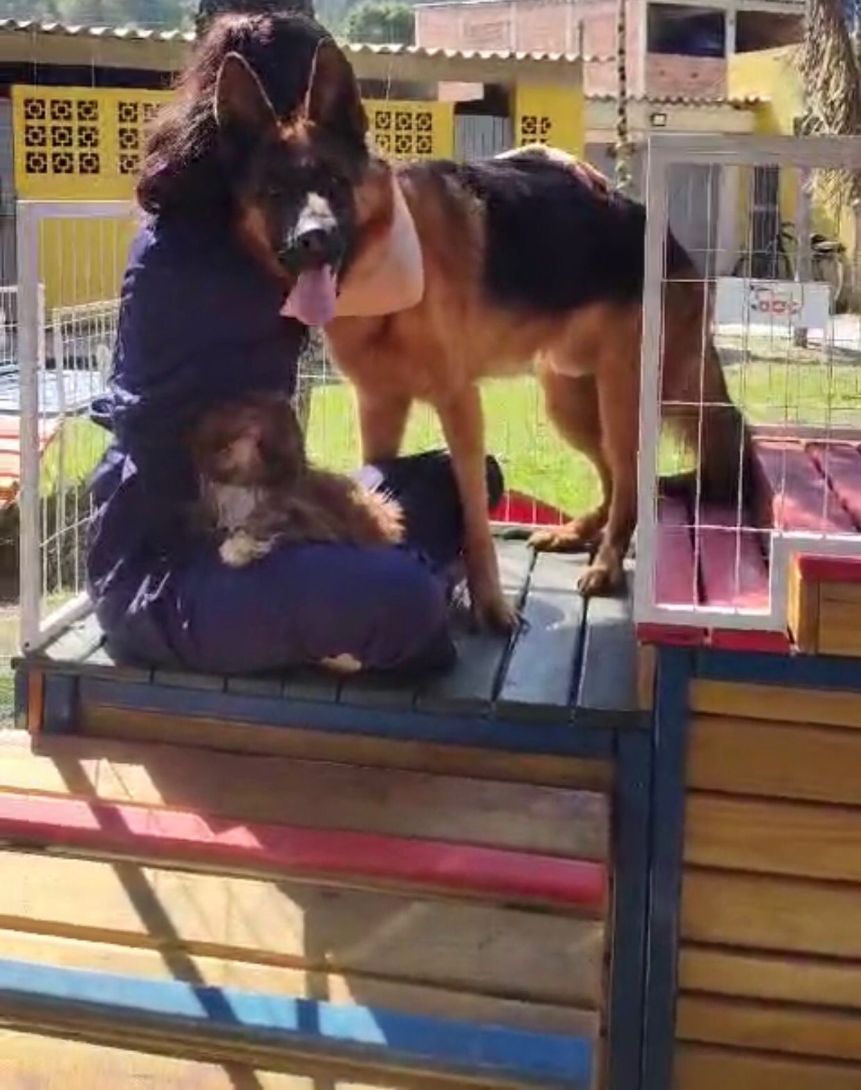 Foto do Patas em Férias Pet Resort