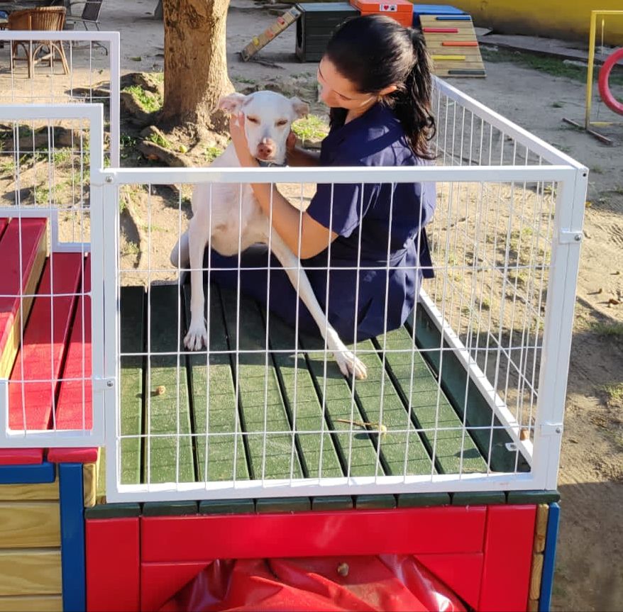 Foto do Patas em Férias Pet Resort