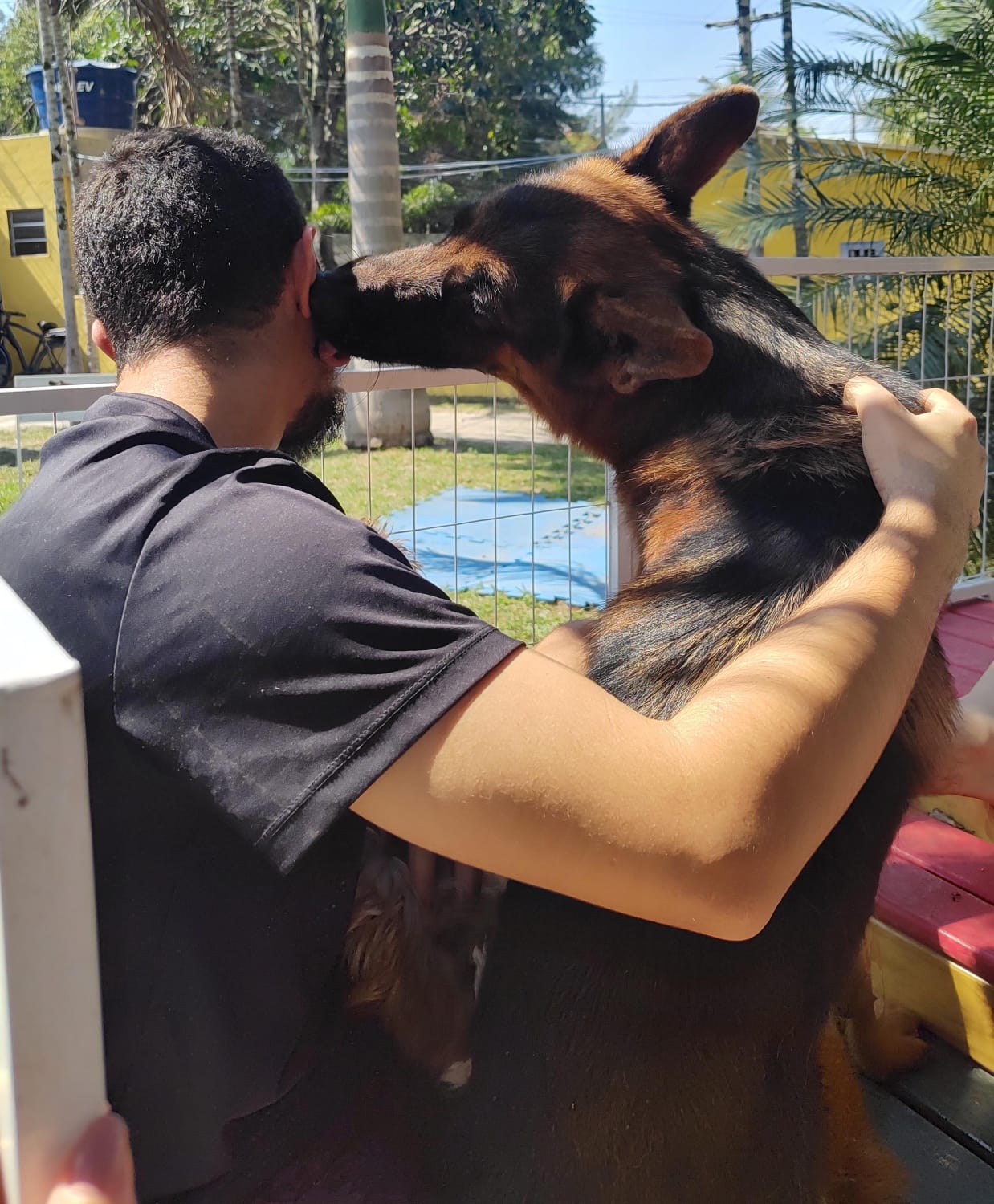 Foto do Patas em Férias Pet Resort